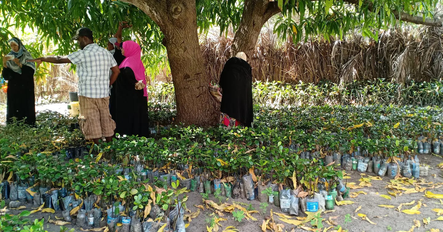 Organic Farming
